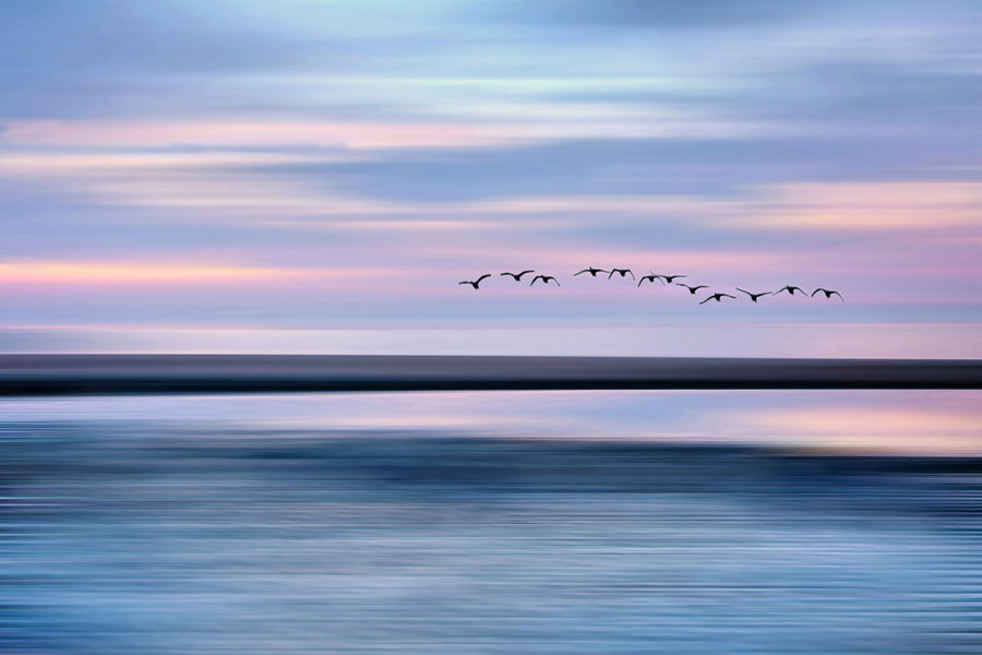 Transient