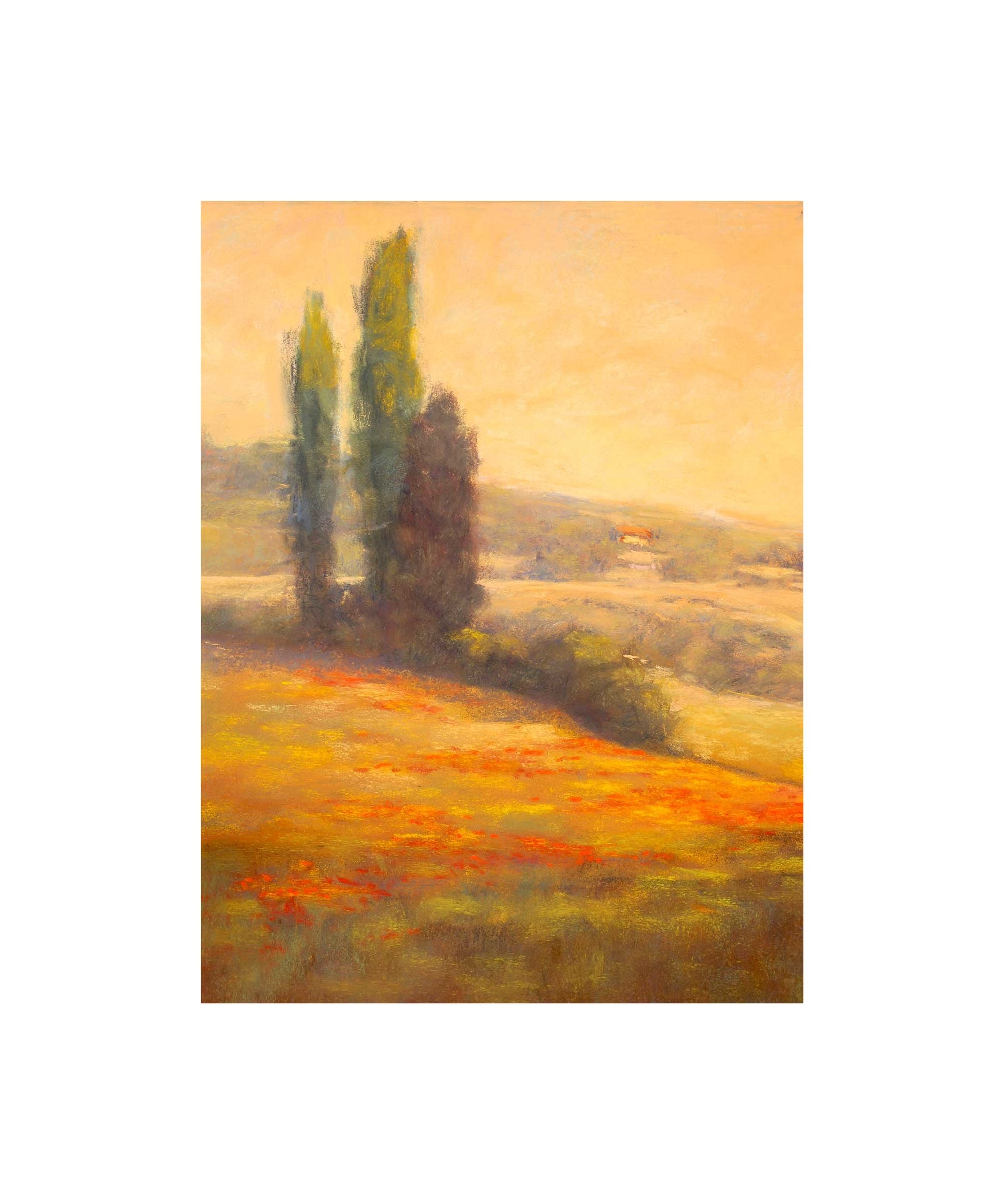 Tuscan Poplars