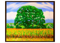 The Great Meadows