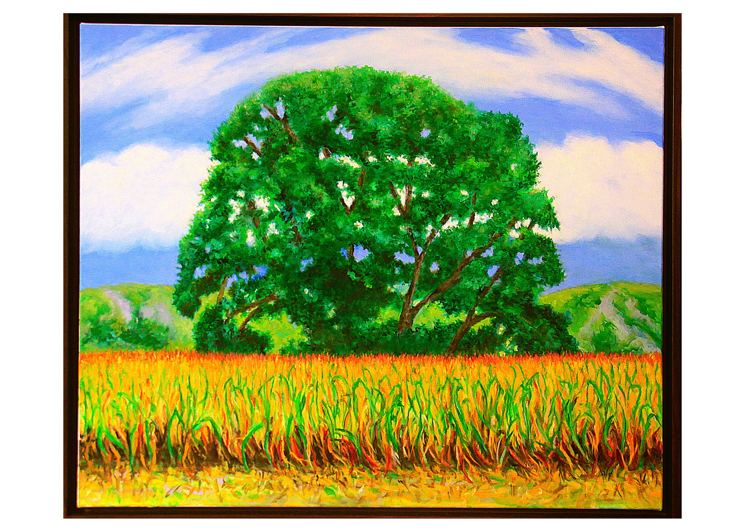 The Great Meadows