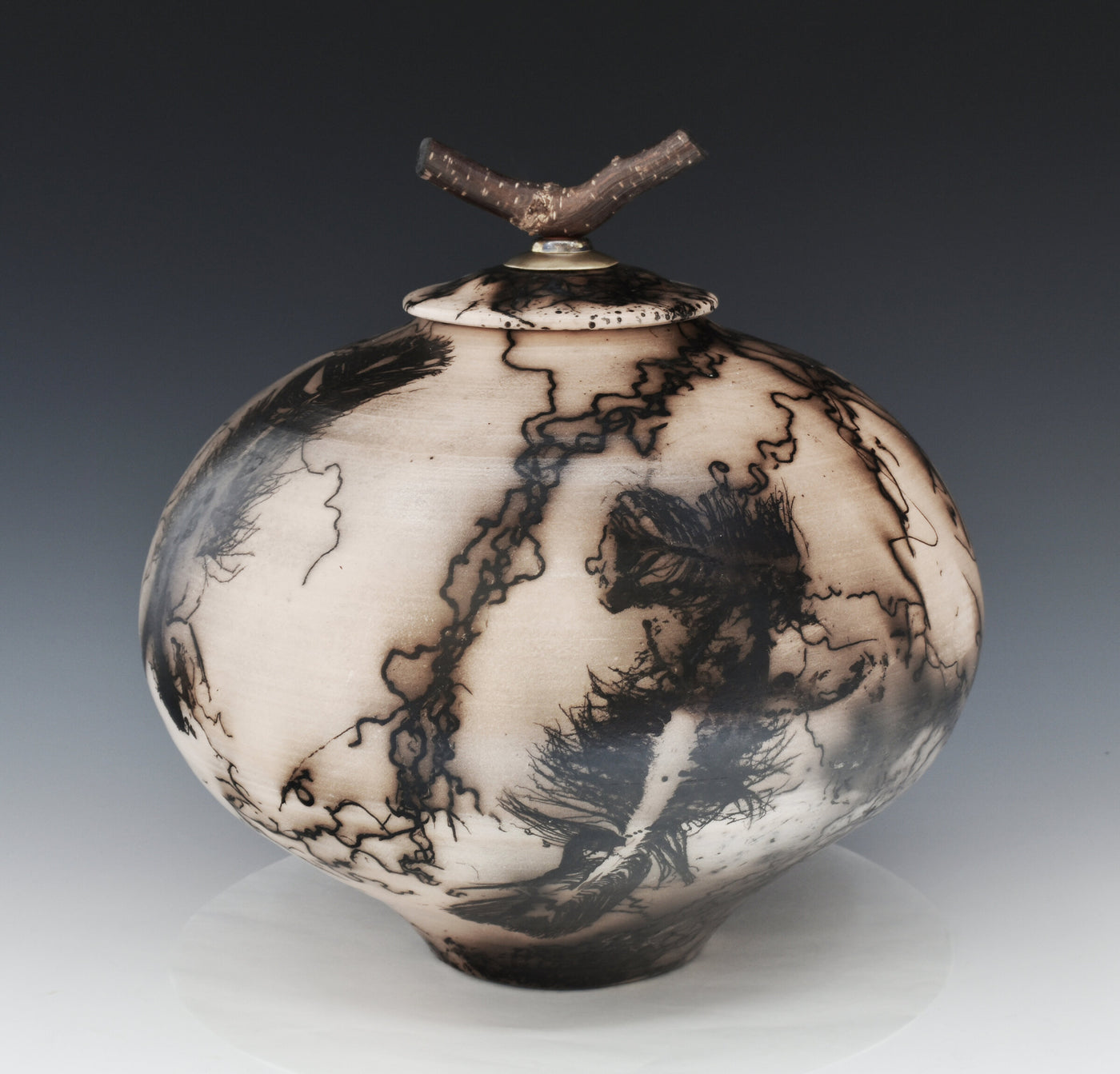 Horsehair Raku Stoneware Jar with Driftwood