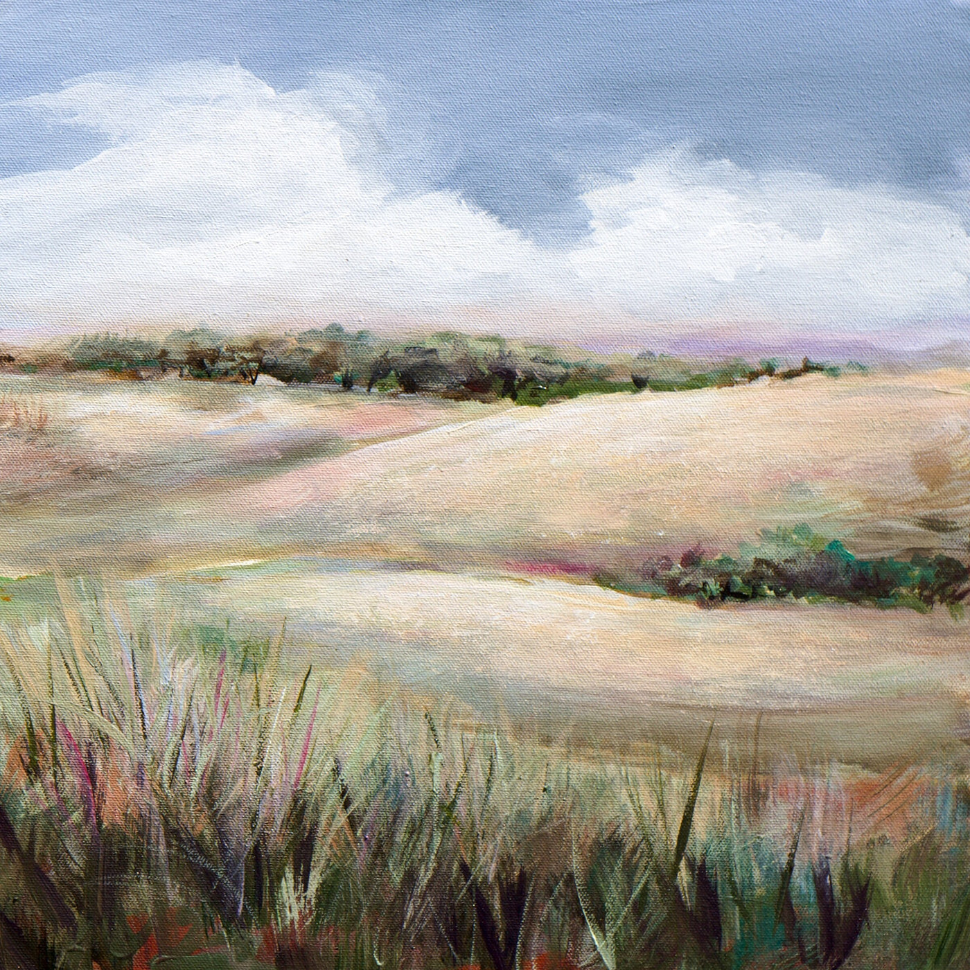 Summer in the Foothills