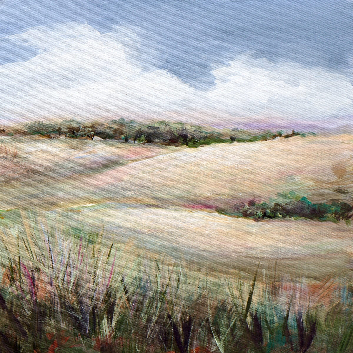 Summer in the Foothills