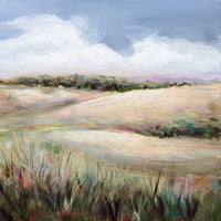 Summer in the Foothills