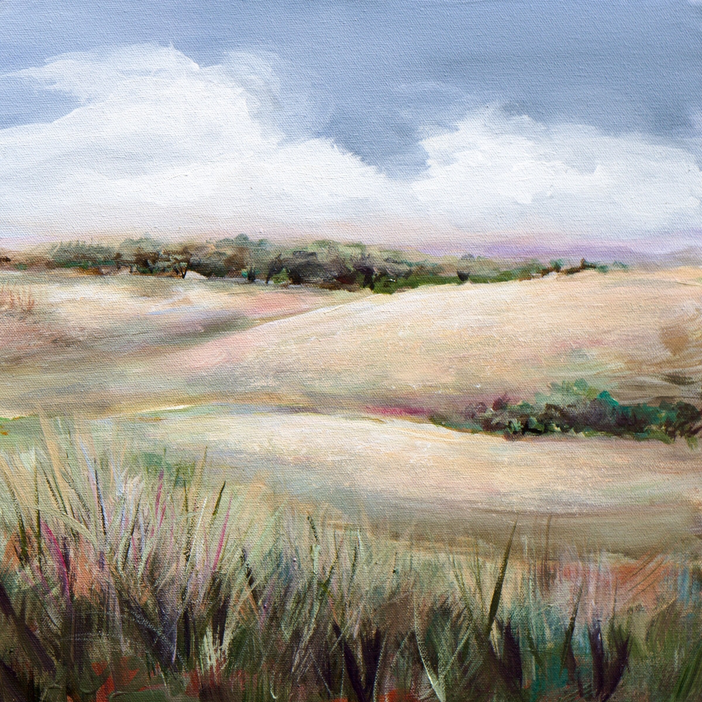 Summer in the Foothills