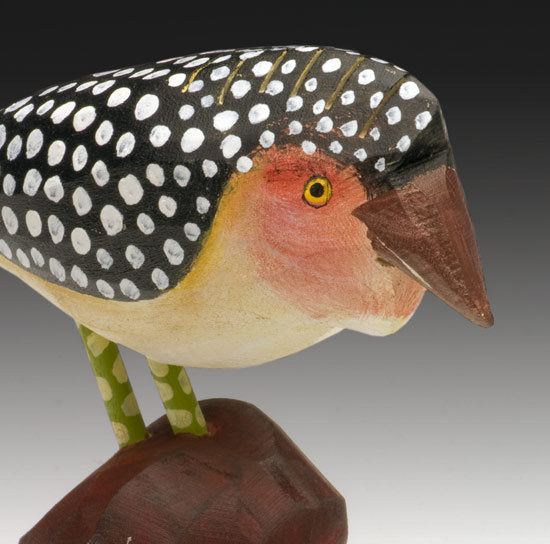Barbet