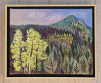 Manzano Mountains
