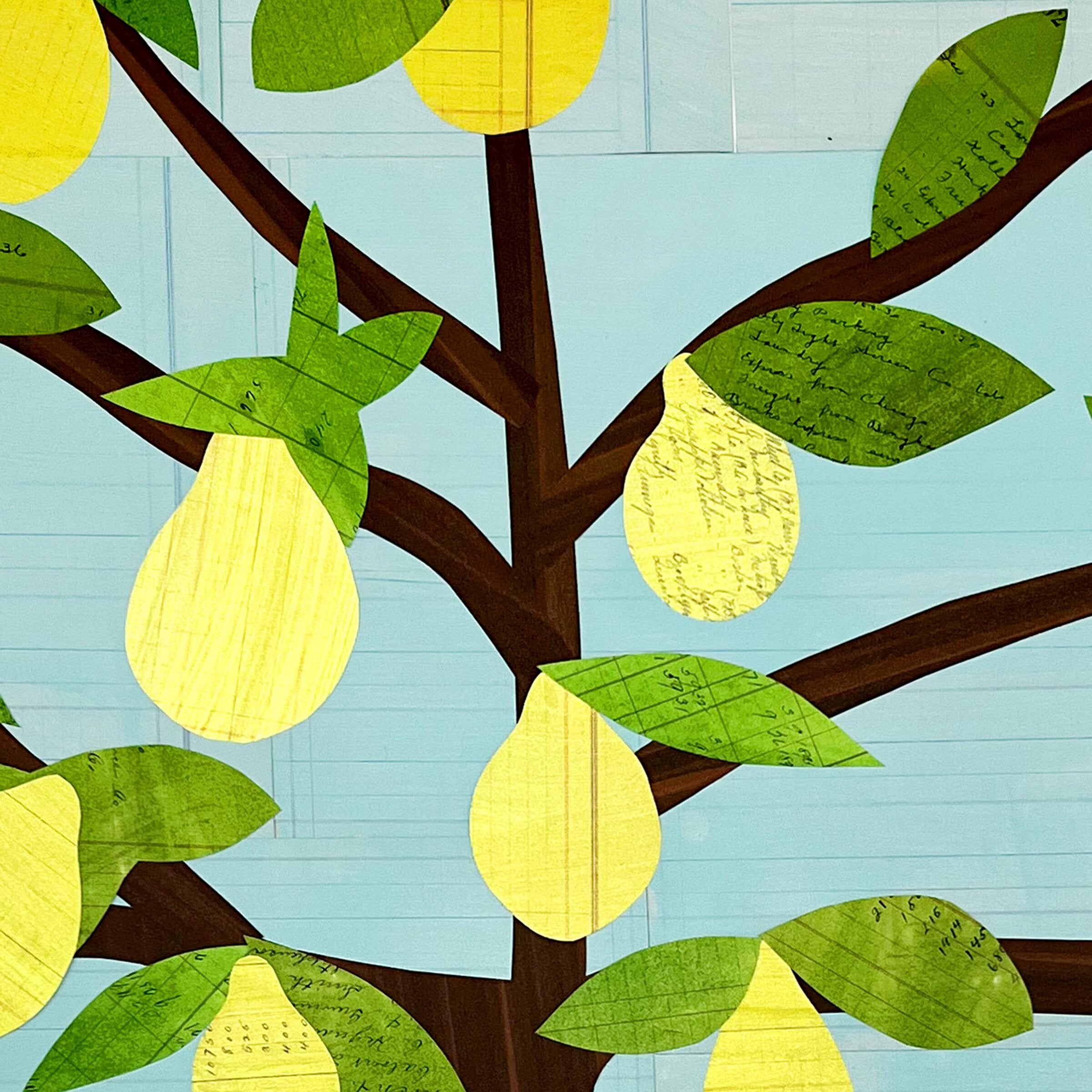 Pear Tree
