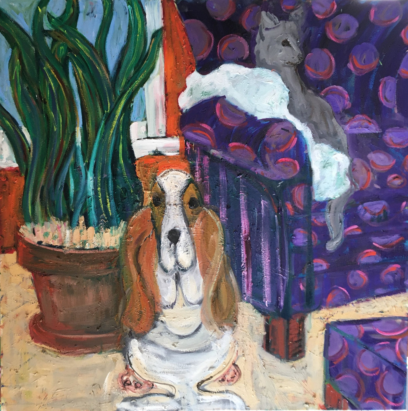 Dog, Gray Cat, Blue Sofa