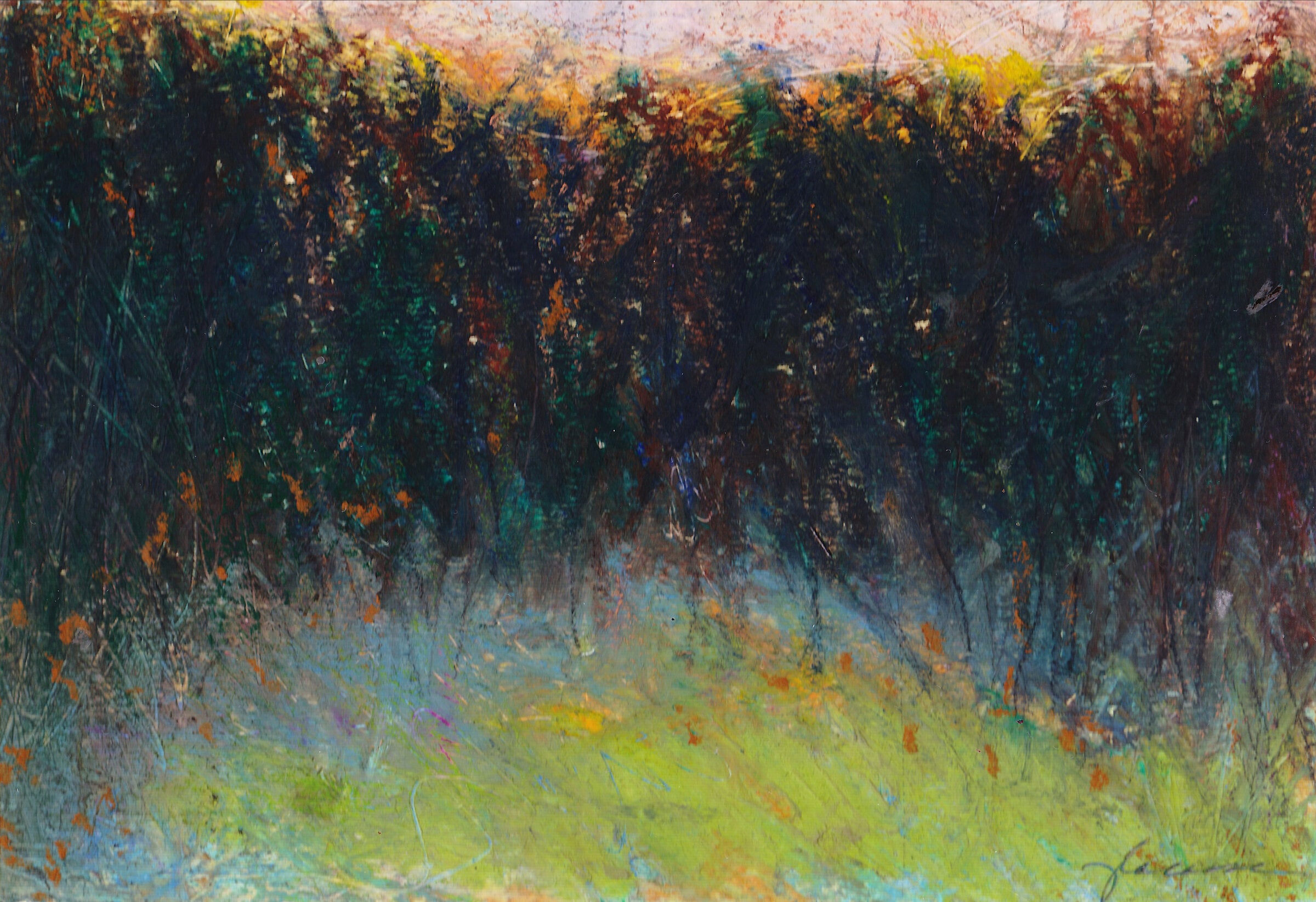 Twilight Grove