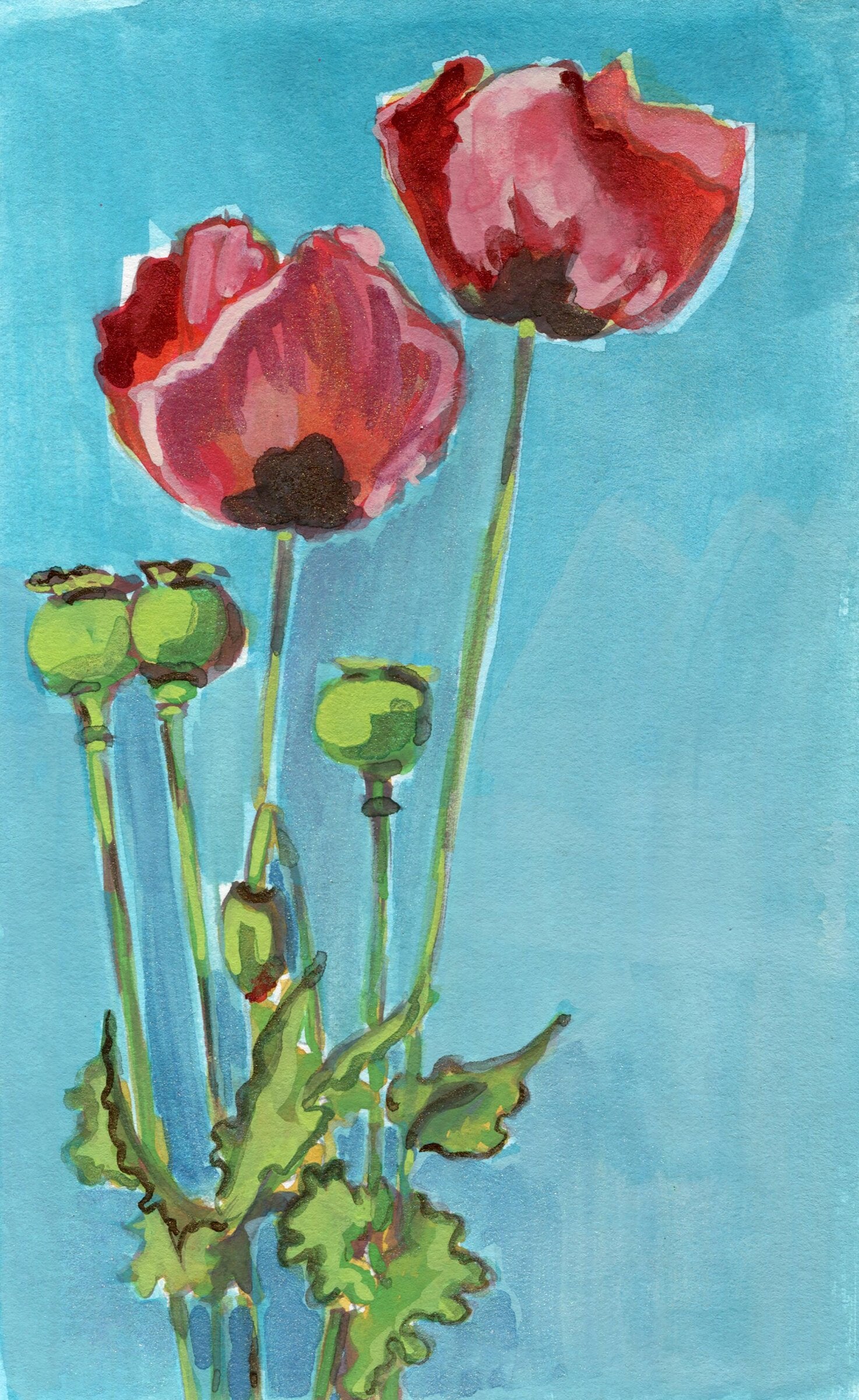 Poppy Layer IV