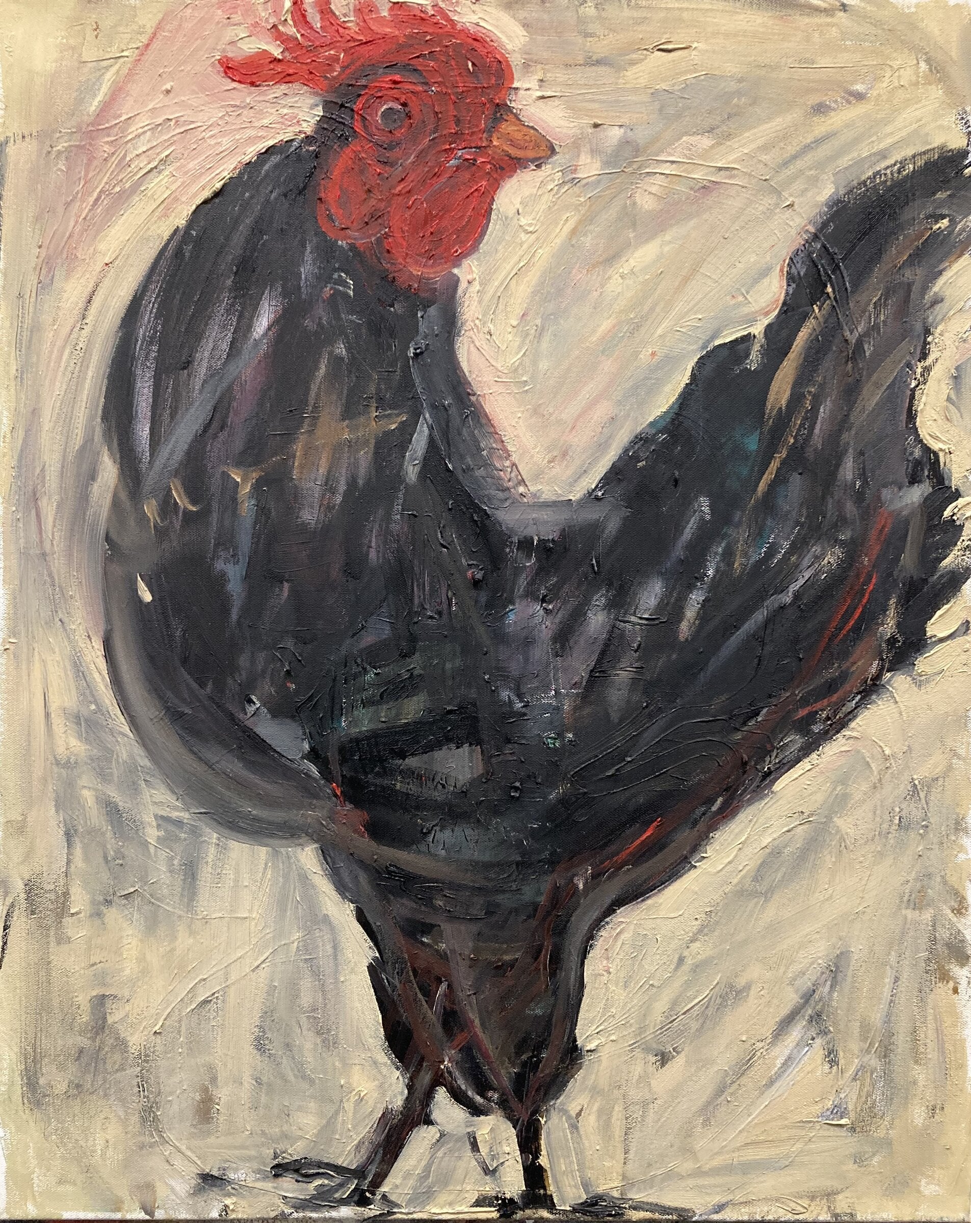 Black Rooster Red Face