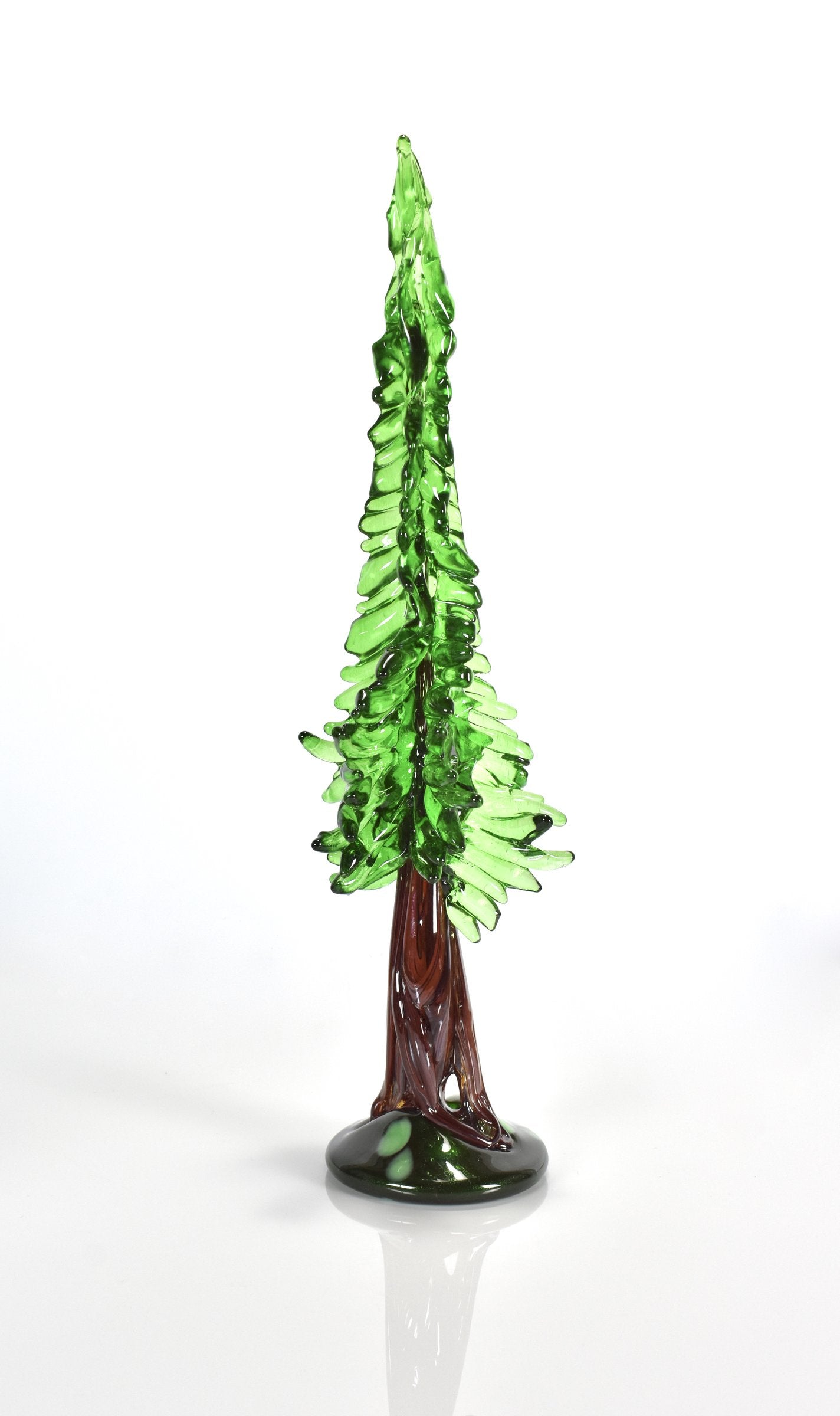 redwood