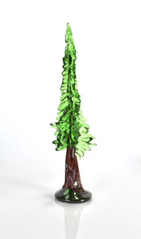 redwood