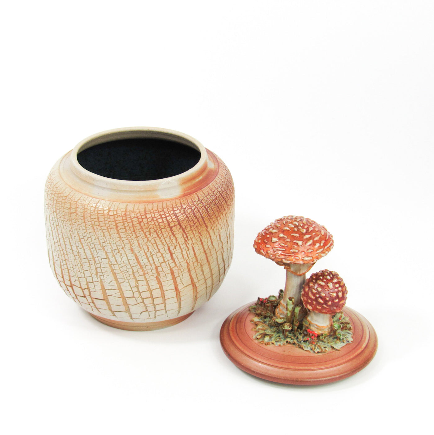 Amanita Muscaria
