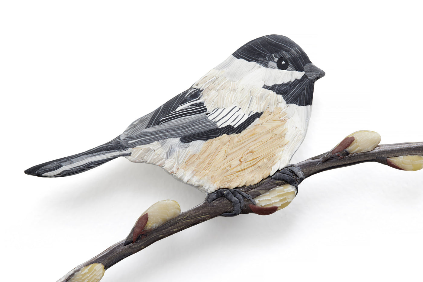 Spring Chickadee