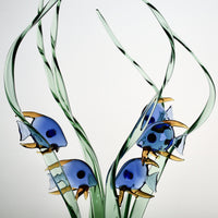 Seagrass Haven