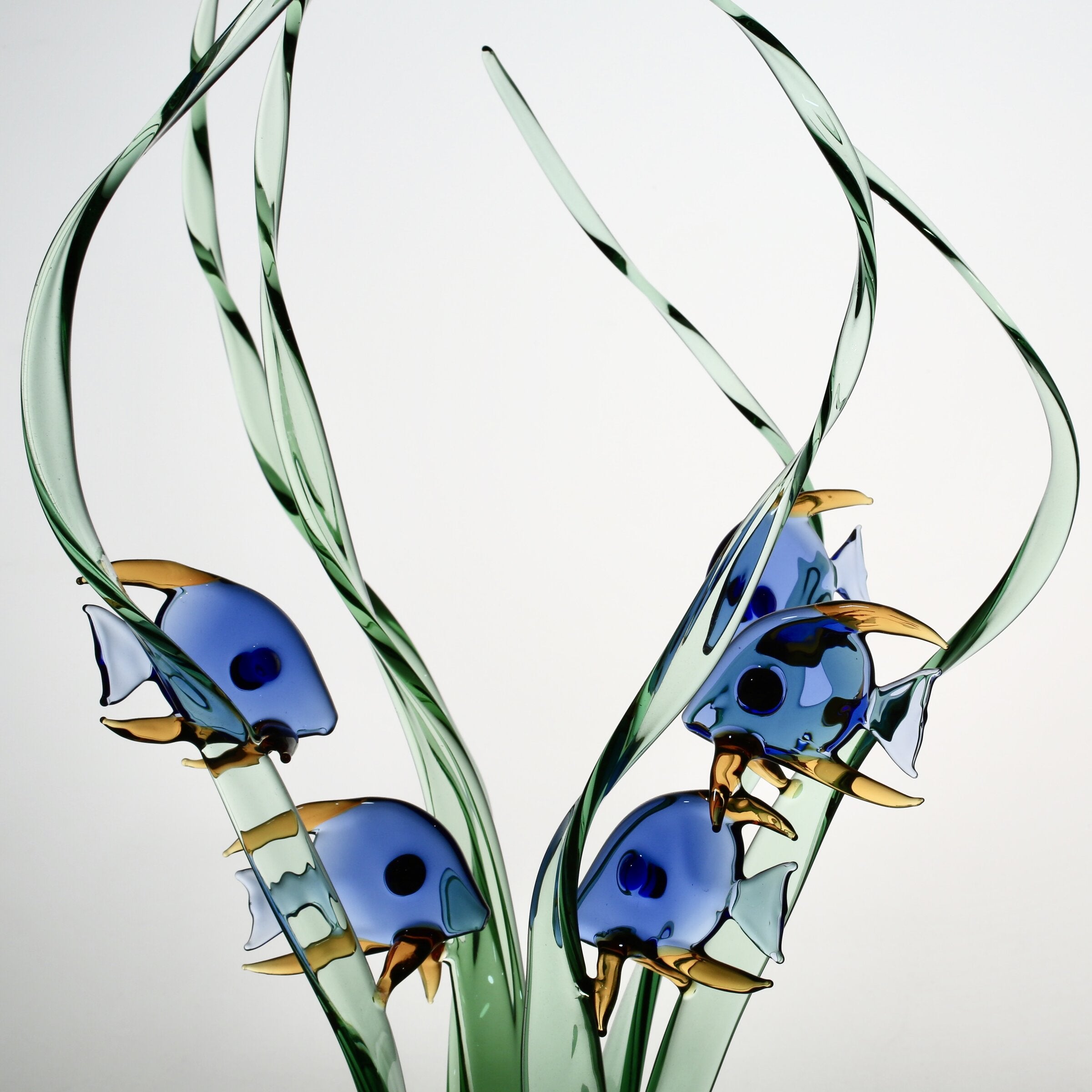 Seagrass Haven