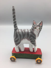 Gray Tabby
