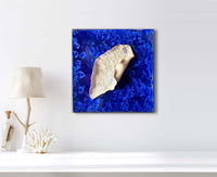 Concha Sapphire Wall Sculpture II