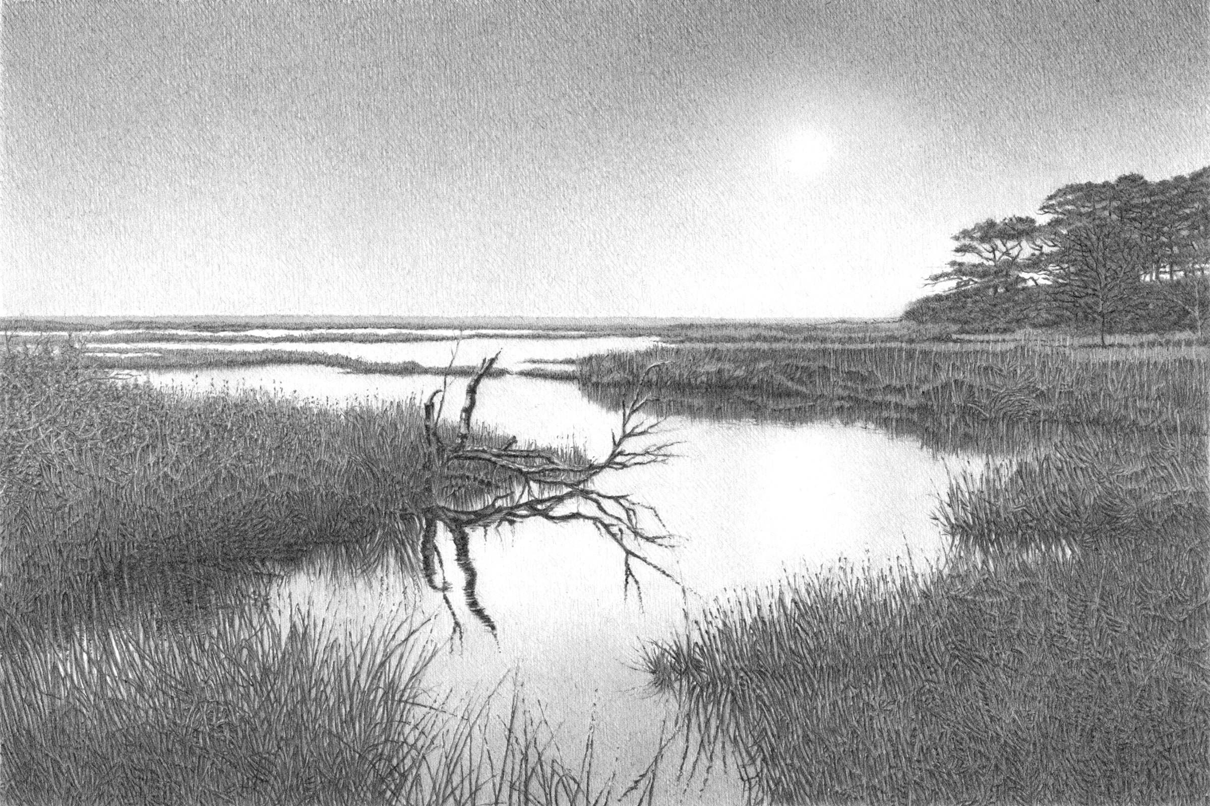 Silent in Graphite