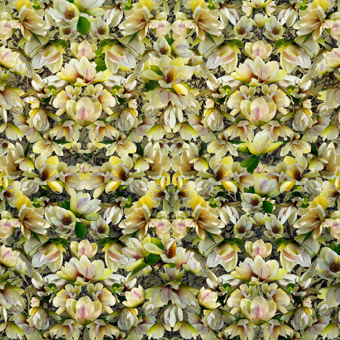 Magnolias Breaking Pattern