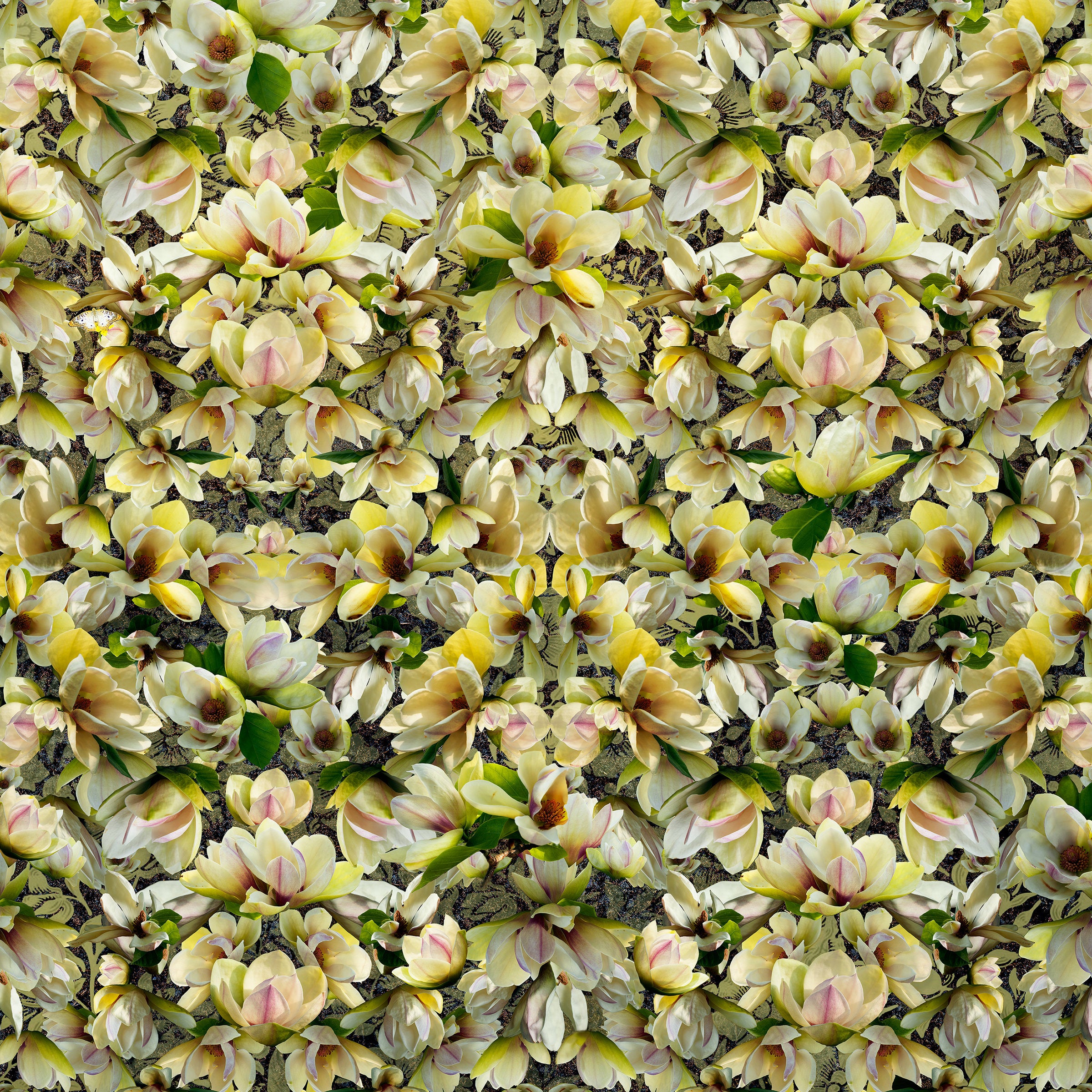 Magnolias Breaking Pattern