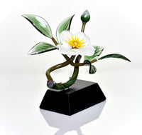 White Cherokee Rose and Bud