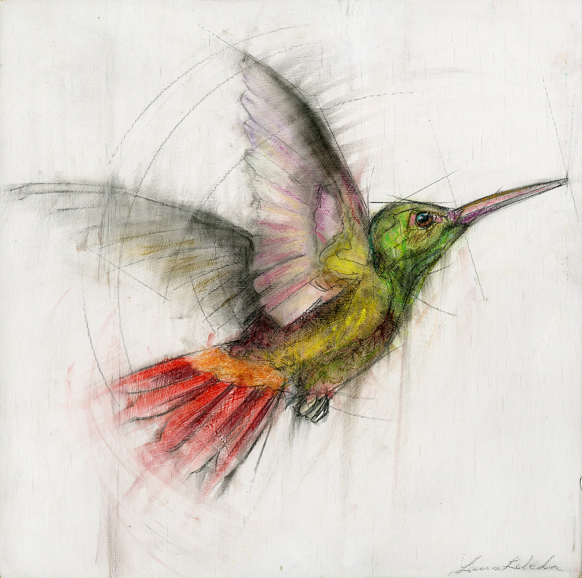 Hummingbird 003