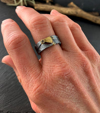 Oxidized Silver
