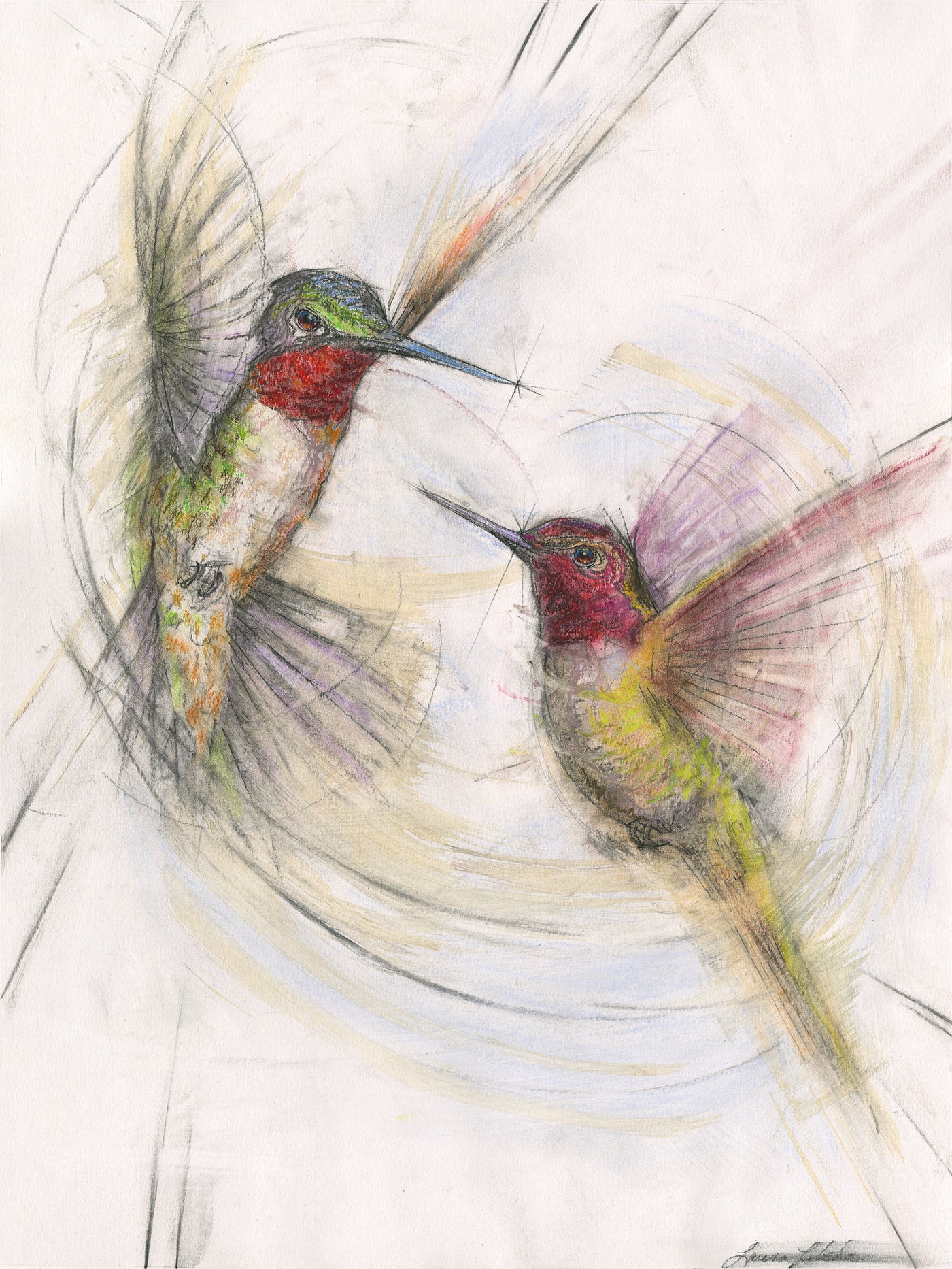 Companions, Hummingbirds