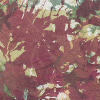 Forest Floor