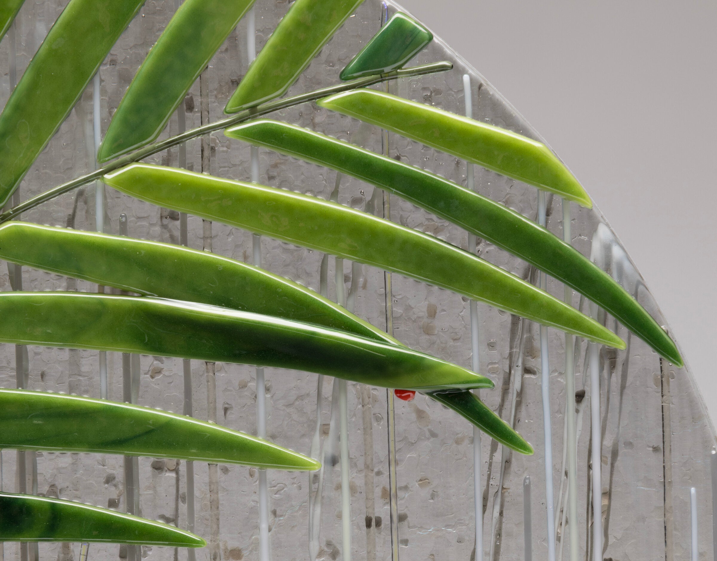 Jamaican Rain (and a Ladybug)