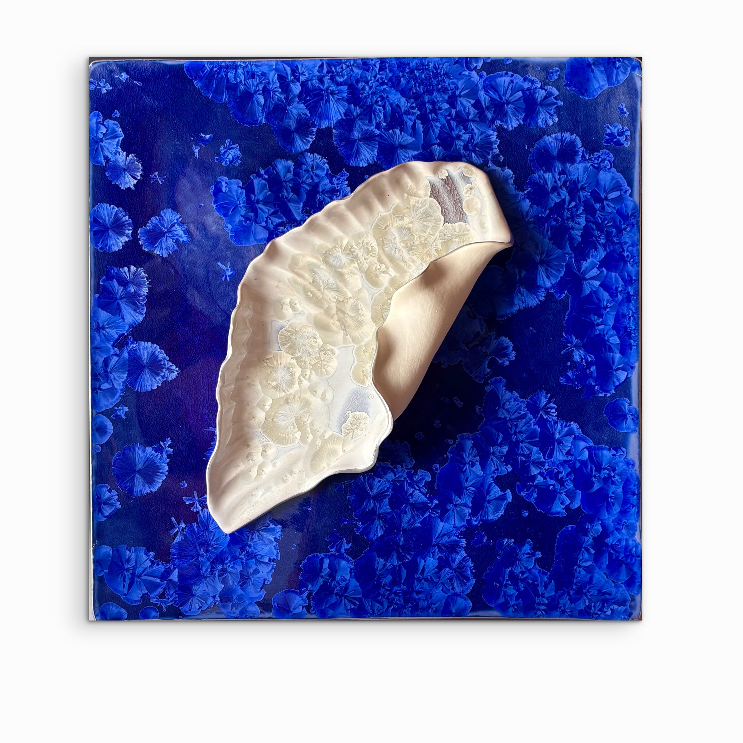 Concha Sapphire Wall Sculpture II