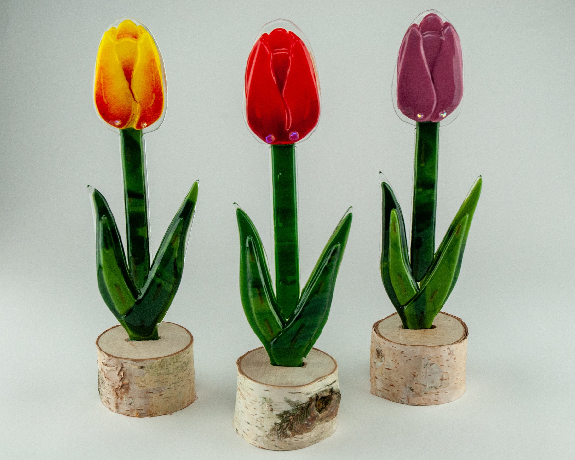 Tulip Patch