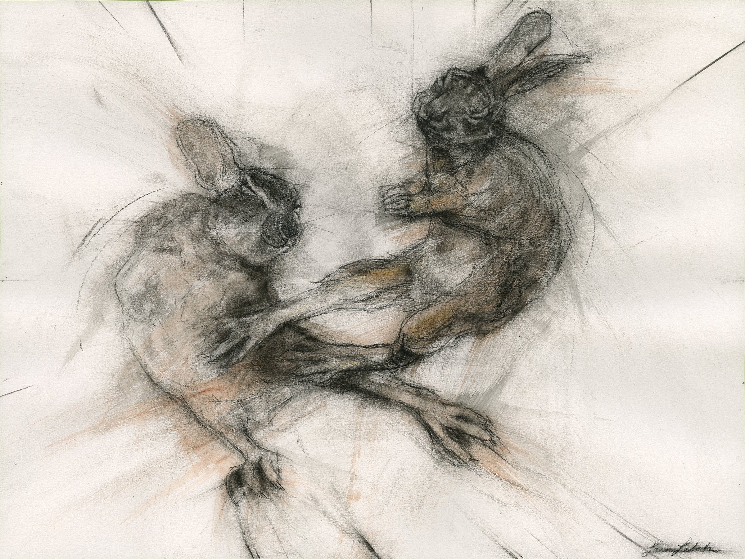 Frolicking Hares