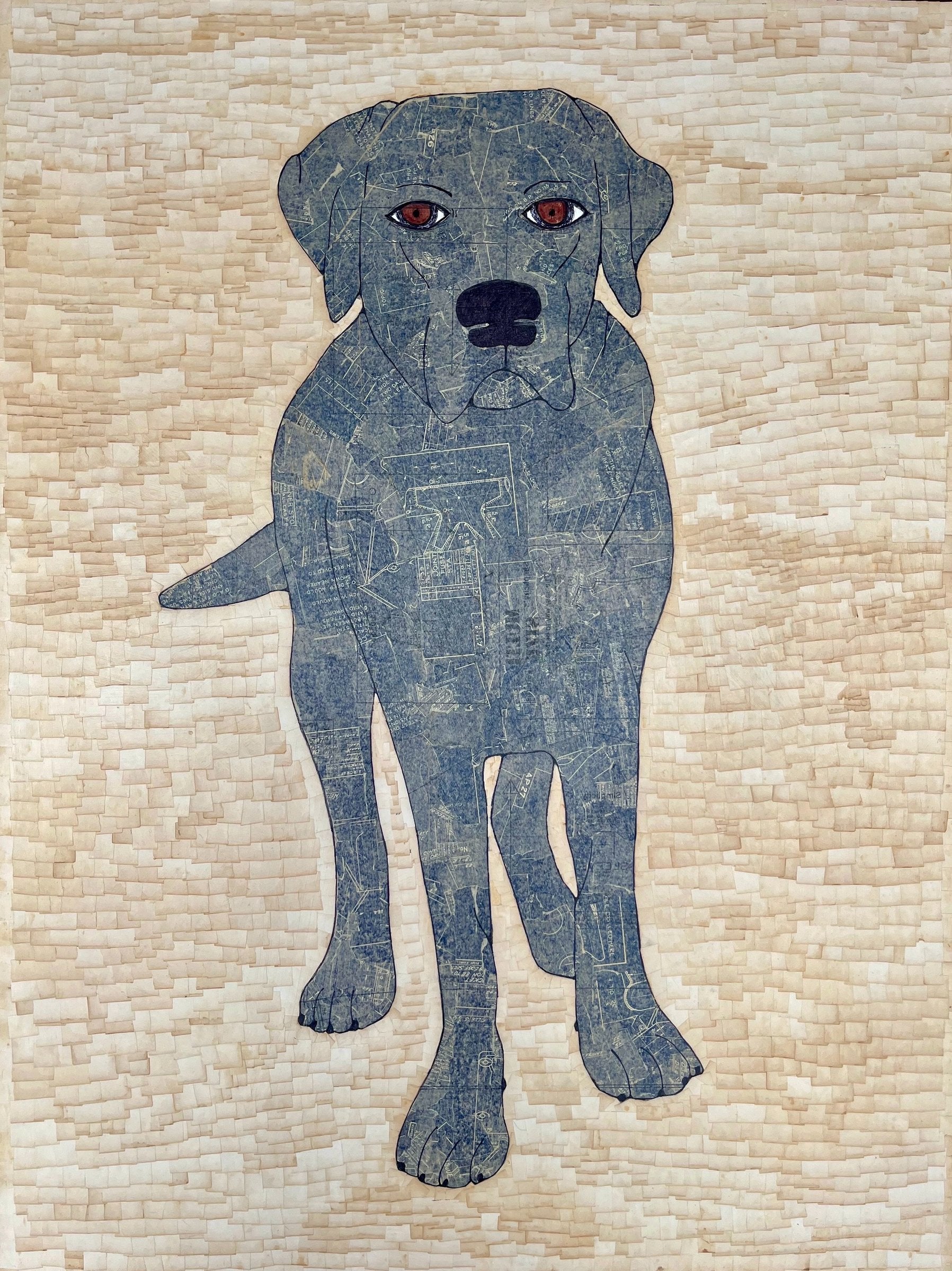 Brown-eyed Big Blue Dog