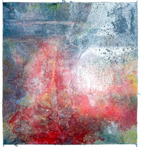 Corallium 36