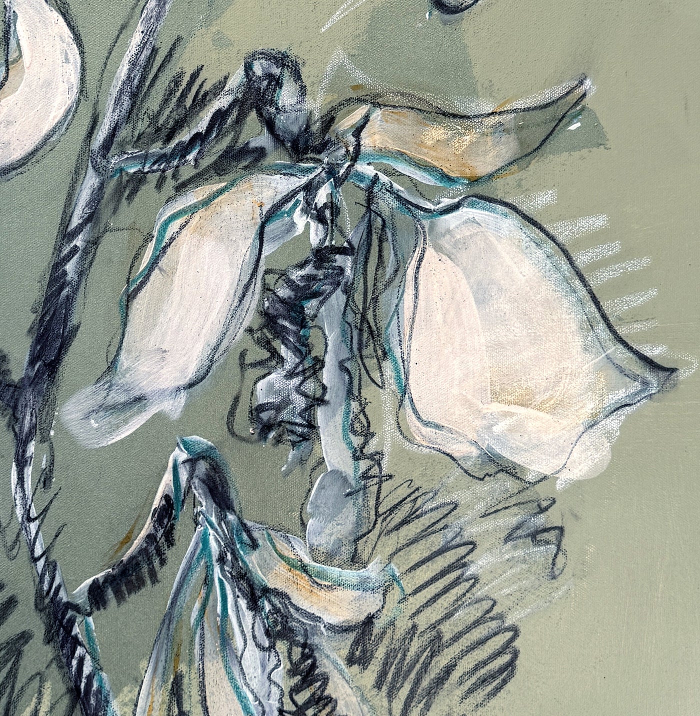 Stargazer: Orchid Essence X