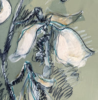 Stargazer: Orchid Essence X