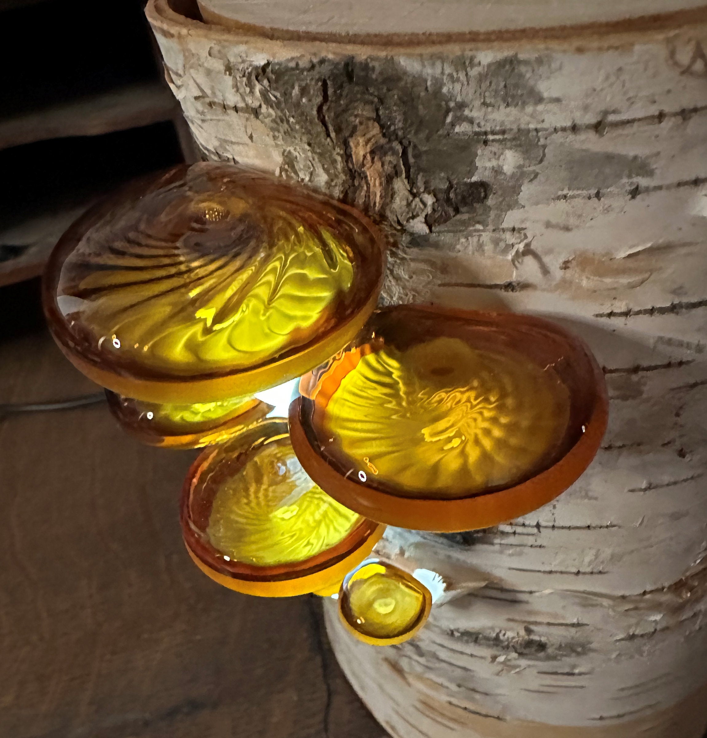 Shelf Mushroom Lamp