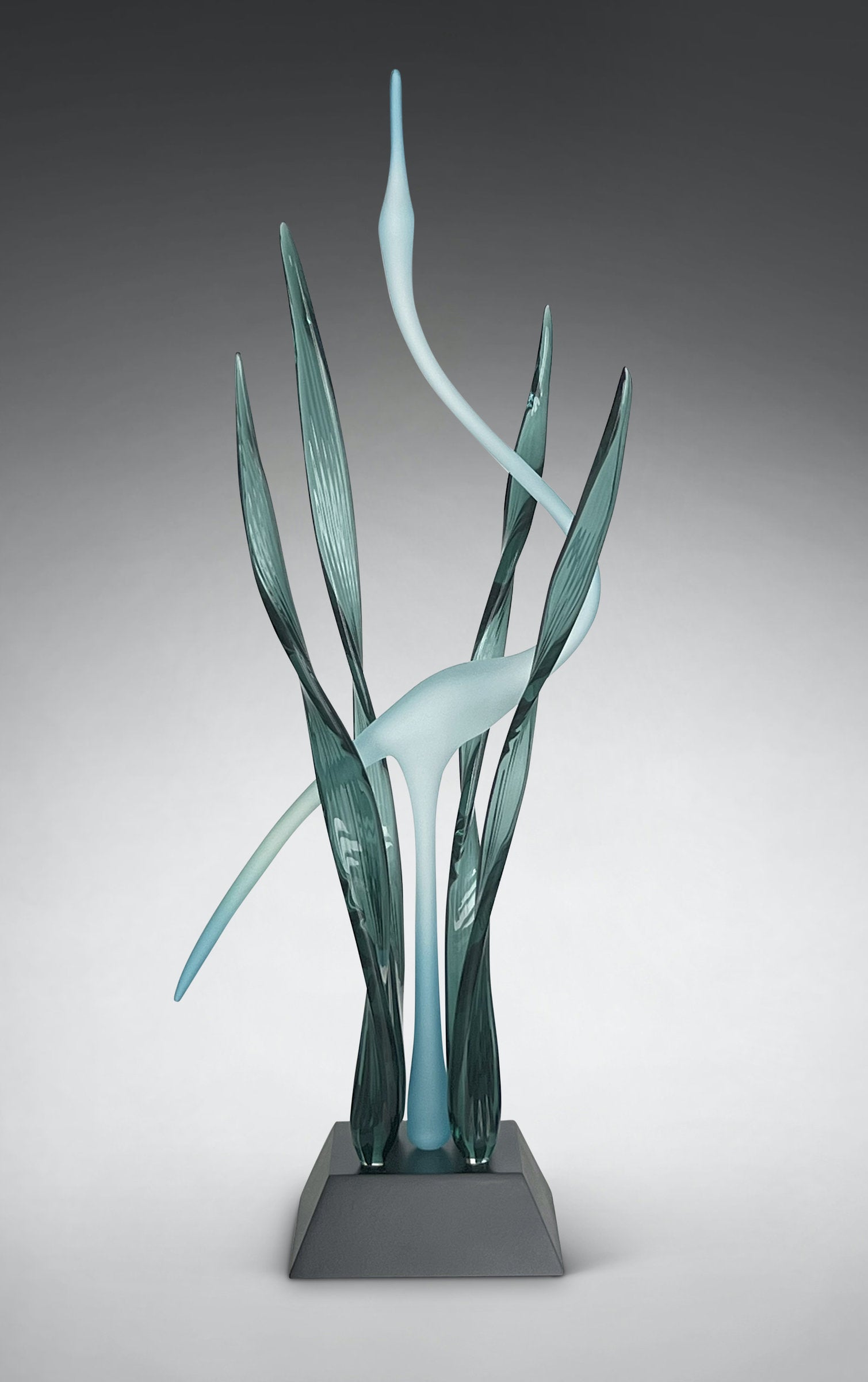 Serene Dance in the Marsh, Peacock