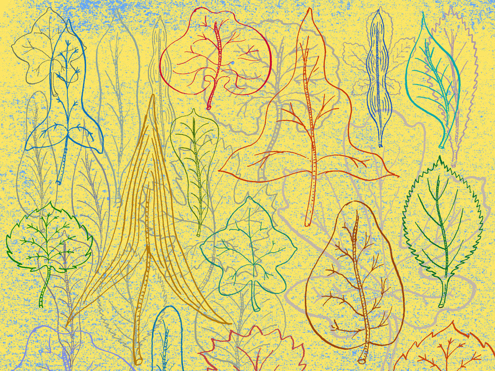 Abstract Leaf Forms 1