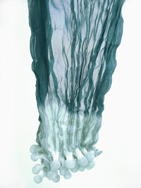 Small Ocean Epidermis Scarf