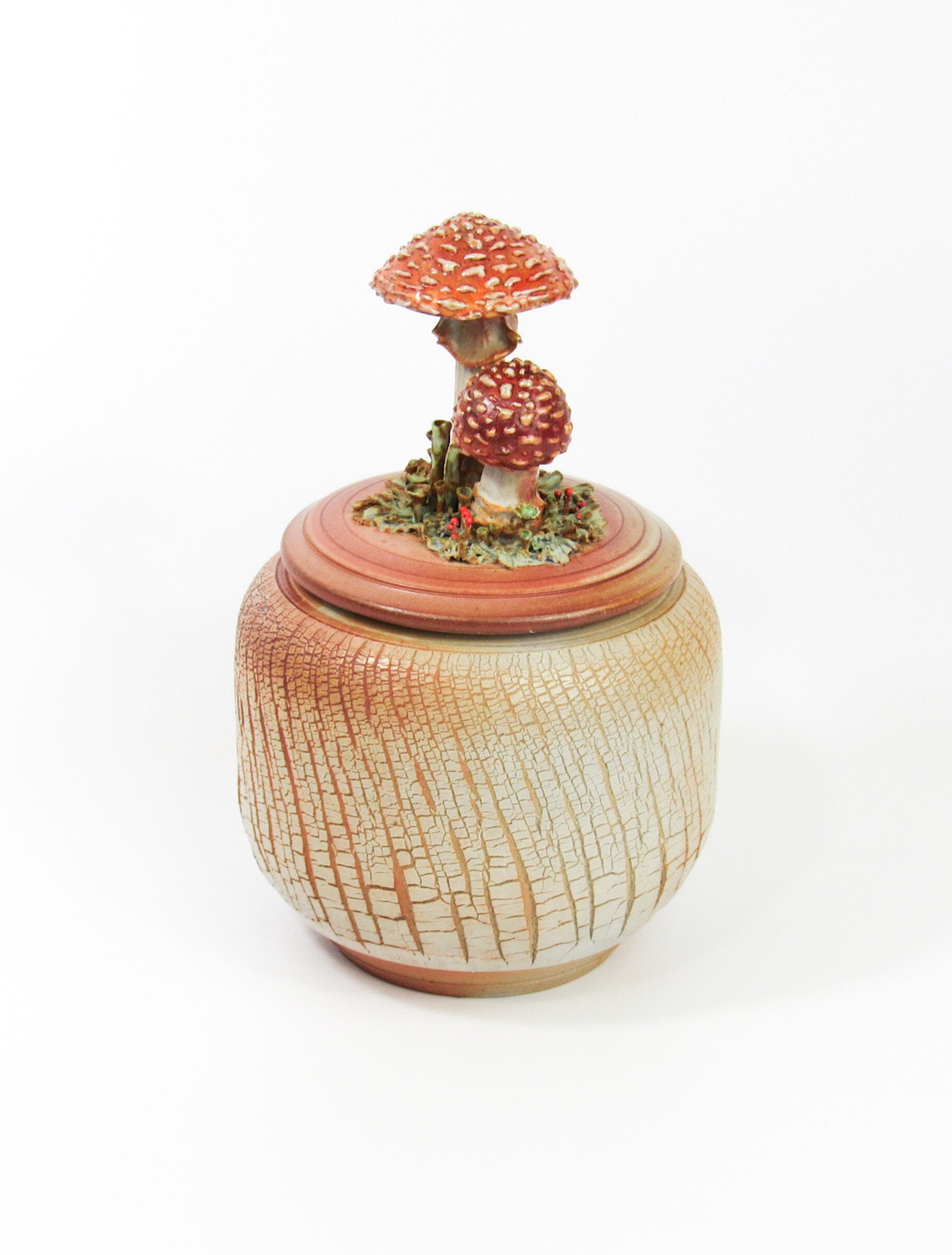 Amanita Muscaria