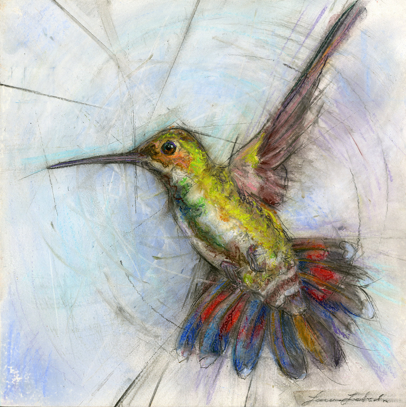 Hummingbird 004