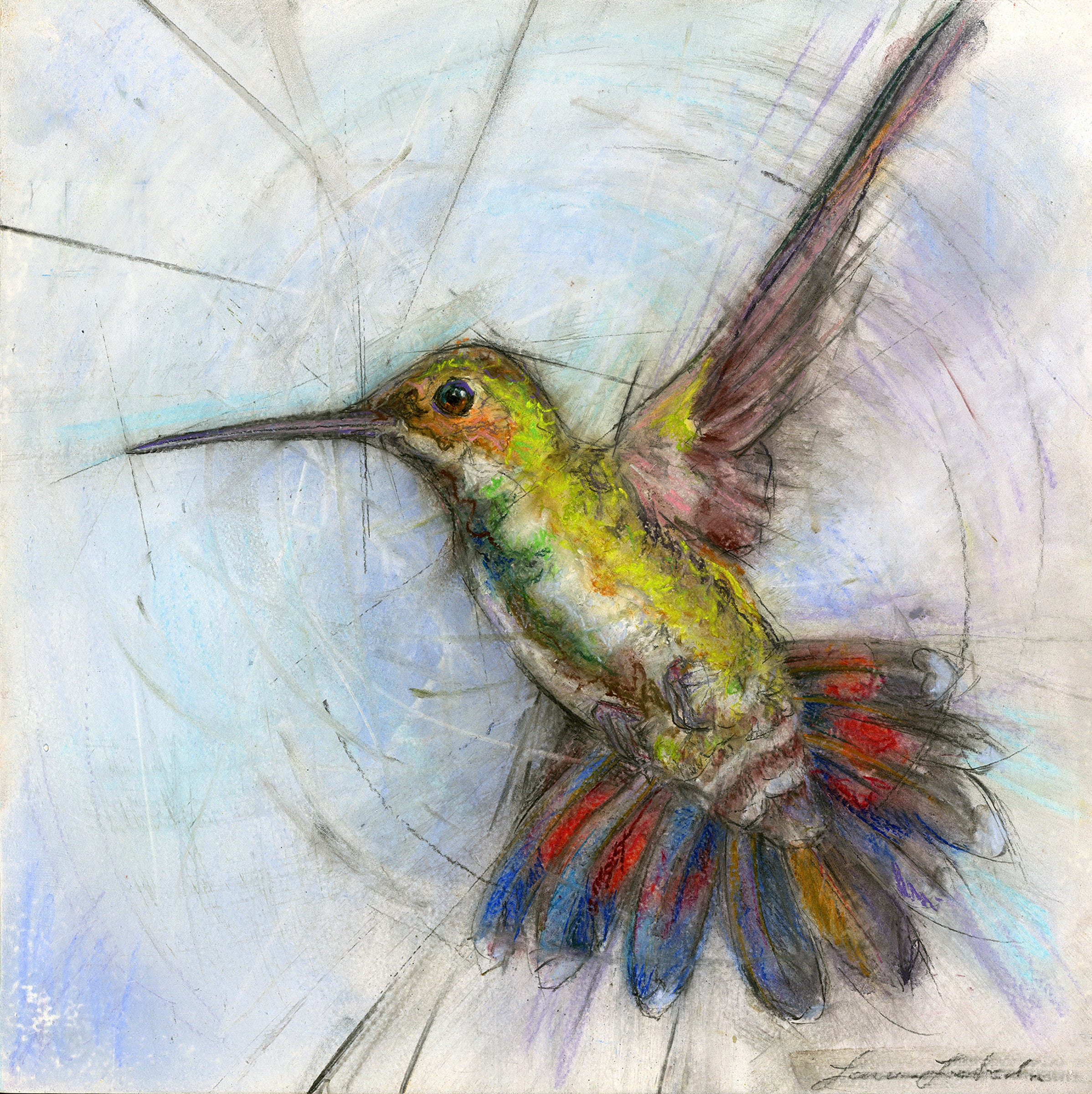 Hummingbird 004