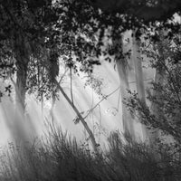 Early Morning, Tecate, Mexico