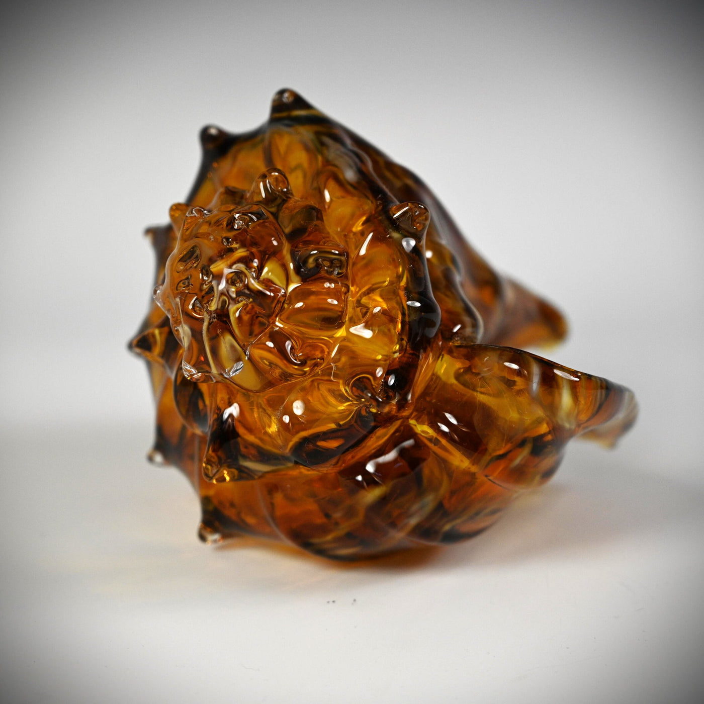 Warm Glow Shell
