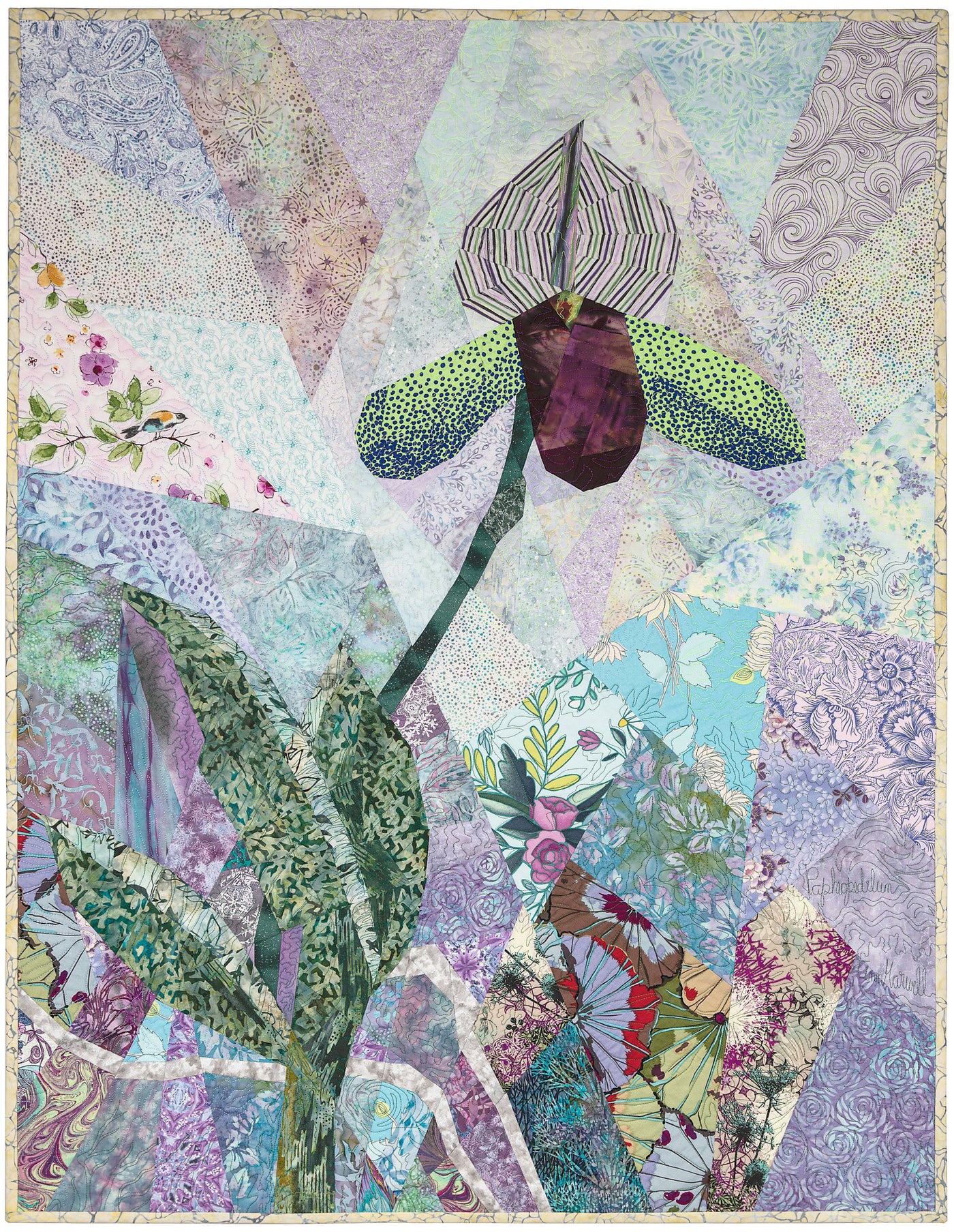 Paphiopedilum